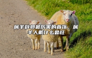 属羊辟邪最厉害的首饰，属羊人戴什么最旺 属羊的带什么辟邪