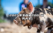 2025年生肖猪2007运势大全 2025年猪人命运