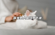 属兔男人最放不下谁 属兔男最离不开什么样的女人