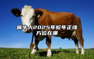 属牛人2025年蛇年正缘方位在哪