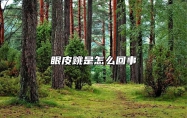 眼皮跳是怎么回事 右眼皮跳是怎么回事 什么预兆