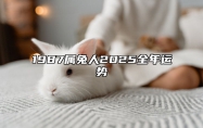 1987属兔人2025全年运势 1987兔2025每月财运