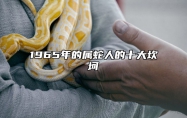 1965年的属蛇人的十大坎坷 1965年的属蛇人的十大坎坷之处