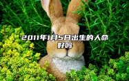 2011年1月5日出生的人命好吗 生辰八字查询