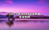 2023年闰二月出生的男宝宝好吗 闰二月出生男孩本命佛
