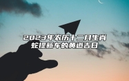 2023年农历十二月生肖蛇提新车的黄道吉日