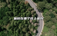 偏财在哪个柱上最好 年柱偏财有良好的家庭背景