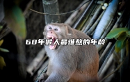 68年猴人最难熬的年龄 1968猴2025每月运程