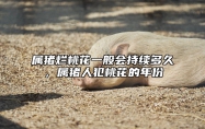 属猪烂桃花一般会持续多久，属猪人犯桃花的年份 2021属猪的桃花旺吗?