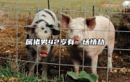 属猪男42岁有一场情劫 83年猪42岁和45岁注意