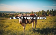 2025年生肖牛总体运势