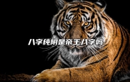 八字纯阴是帝王八字吗 纯阴八字是八字硬还是弱