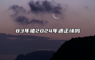 83年猪2024年遇正缘吗 83年的猪2024年运势怎么样