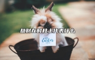 劫财在时柱上代表什么？