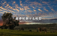 富贵脸是什么脸型？鹅蛋还是圆脸？