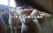 03年属羊人戴什么最旺 2003年属羊佩戴什么本命佛