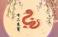 男孩属蛇什么时辰出生最好 女孩属蛇什么时辰出生最好