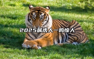 2025属虎人一鸣惊人 2025年属虎