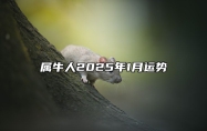 属牛人2025年1月运势 属牛的人2025年的运势及运程