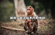 属猴一辈子躲不开的情劫 属猴人一生的劫数运势分析