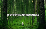 本命年的生日祝福语2023 本命年生日祝福大全