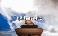 十神虚透代表什么 