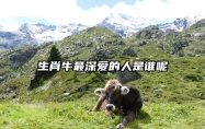 生肖牛最深爱的人是谁呢 属牛的生肖爱人是
