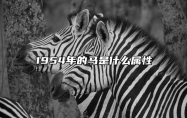 1954年的马是什么属性 1954年是属马吗