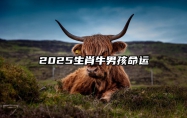 2025生肖牛男孩命运 属牛人2025年运势表现