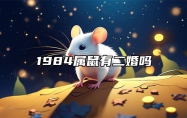 1984属鼠有二婚吗 一生有几次坎
