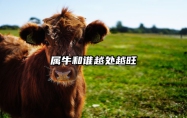 属牛和谁越处越旺 属牛的和谁和哪个属相好