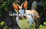 1951年属兔哪一年寿终 2024属兔今年有一难