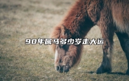 90年属马多少岁走大运 90年属马人何时行大运