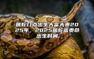 属蛇几点出生大富大贵2025年，2025属蛇富贵命出生时间 2025属蛇几月份生的命最好