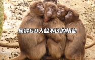 属猴68人躲不过的情劫 属猴人今生有两段孽缘