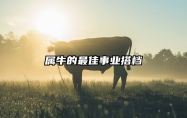 属牛的最佳事业搭档 属牛人的终身贵人