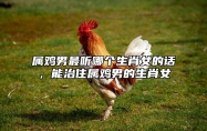 属鸡男最听哪个生肖女的话，能治住属鸡男的生肖女 属鸡男欣赏什么女人