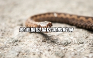 蛇走偏财最厉害的时间 属蛇偏财位在哪里