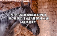 2025年偏财运最好的马，2025年什么行业属马人偏财运最好 2025年生肖马