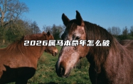 2026属马本命年怎么破 2026属马本命年怎么破财