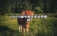 2025属牛的全年运势如何
