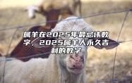 属羊在2025年最忌讳数字，2025属羊人永久吉利的数字 2025年属羊人的命运