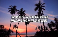 ​家里为什么不能放绿萝？绿萝招不好的东西是真是假？