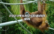 2023年6月25日适合开业吗 这天开业好不好