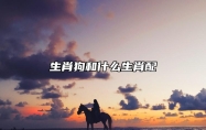 生肖狗和什么生肖配 和属兔是天作之合