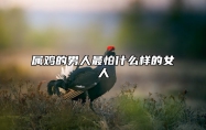 属鸡的男人最怕什么样的女人 属鸡男最怕爱的女人说什么