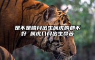 是不是腊月出生属虎的都不好 属虎几月出生命苦 腊月出生的虎是什么命