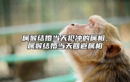 属猴结婚当天犯冲的属相，属猴结婚当天回避属相 属猴结婚忌什么属相在现场