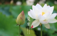 夏至节气谚语 夏至节气吃什么食物
