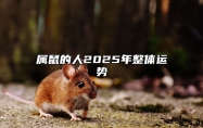 属鼠的人2025年整体运势 幸运色和幸运数字